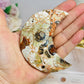 Money Agate Carved Moon 9cm