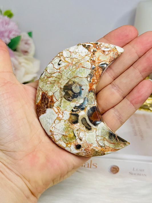 Money Agate Carved Moon 9cm