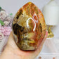 Large Petrified Wood Freeform 11.5cm 710g