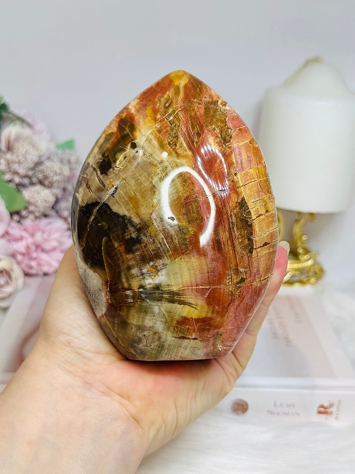 Large Petrified Wood Freeform 11.5cm 710g
