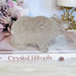 Chunky 11cm 359gram Clear Quartz Carved Bear