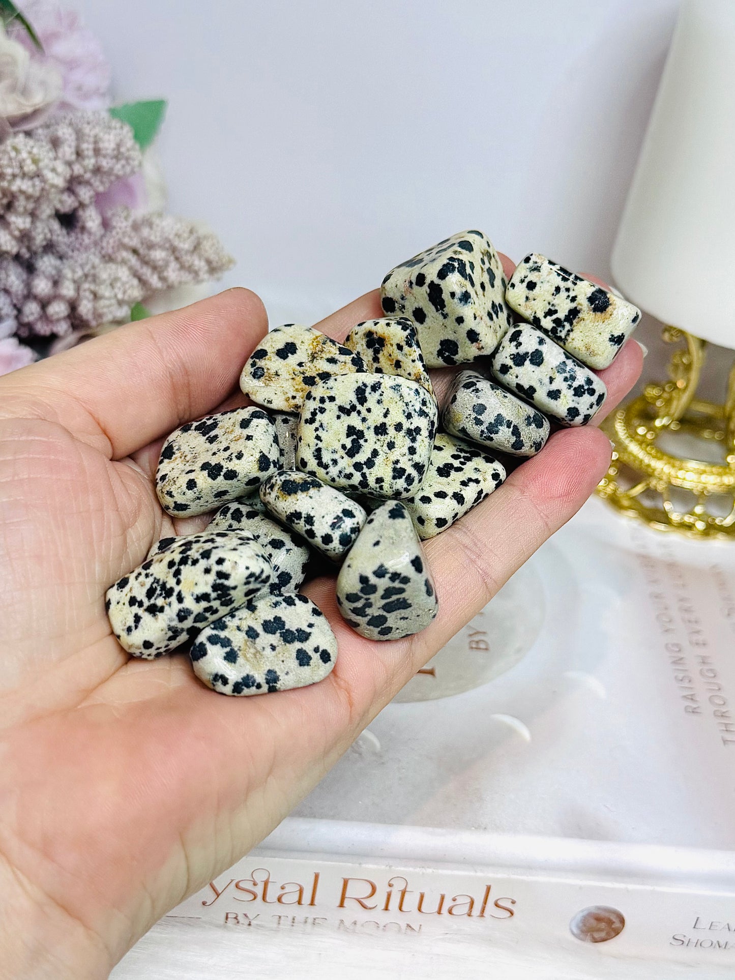 Dalmatian Jasper Tumbles $2 each