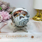 Large Mexican Crazy Lace Agate Druzy Sphere On Stand 425g