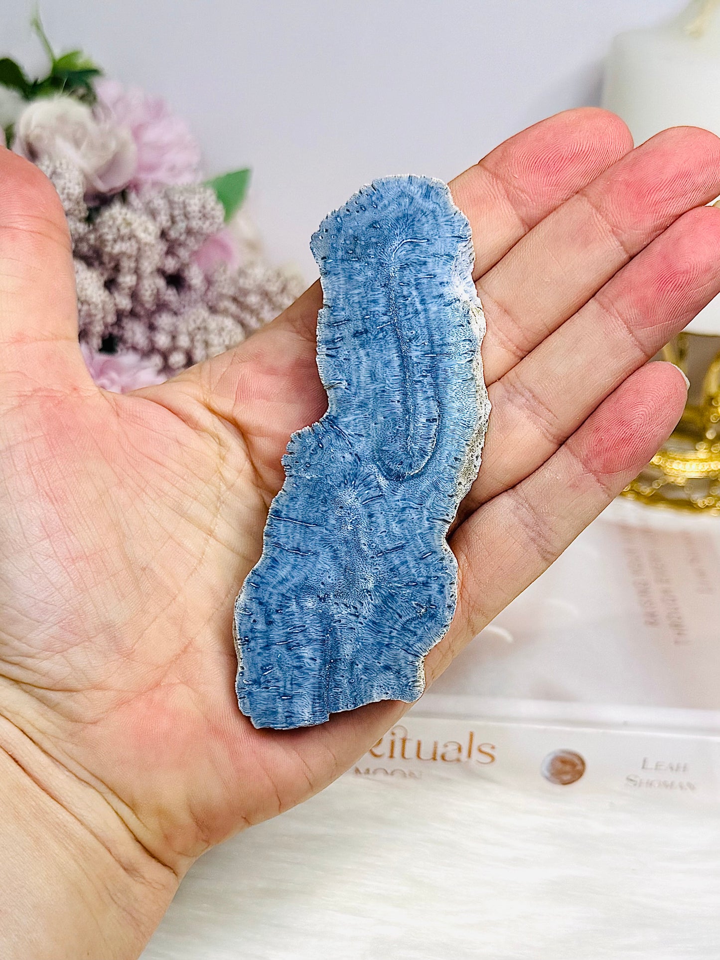 Natural Blue Coral Fossil Specimen Slab 10cm