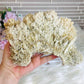 Large Natural Gypsum Selenite Specimen 21cm 578g