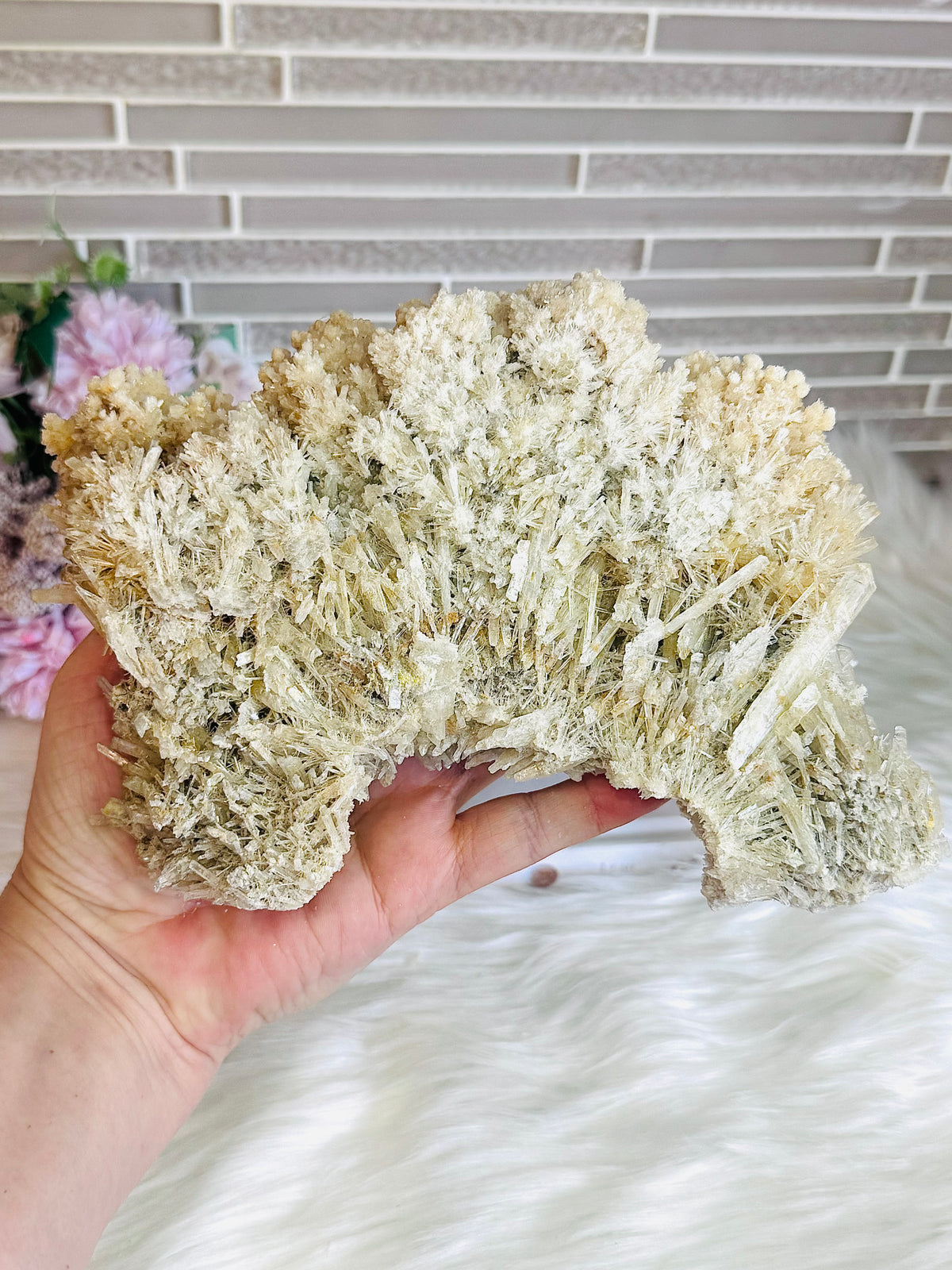 Large Natural Gypsum Selenite Specimen 21cm 578g