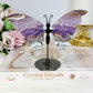 Crazy Lace Amethyst Wings on Stand 11cm