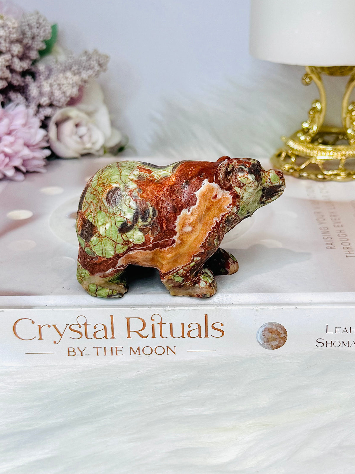 Money Agate Carved Bear 8cm