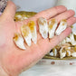 Rough Citrine Small Points ~ 2 pieces for $1