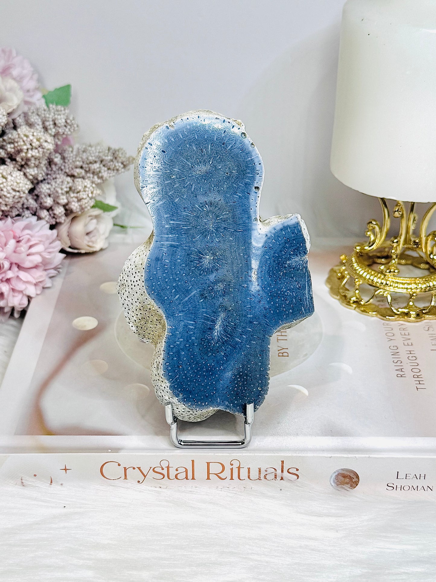Blue Coral Fossil Specimen Slab on Stand 11.5cm