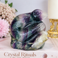 Rainbow Fluorite Carved Snake 662grams