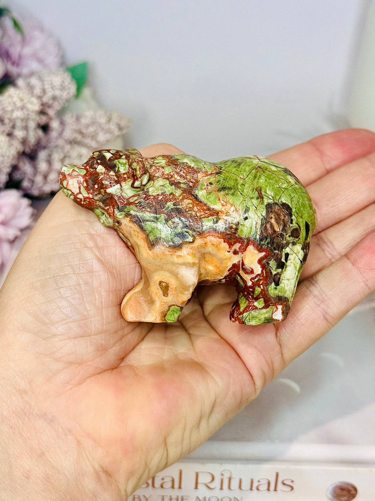 Money Agate Carved Bear 8cm