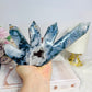 Moss Agate Druzy 5 Point Tower 22cm 638g
