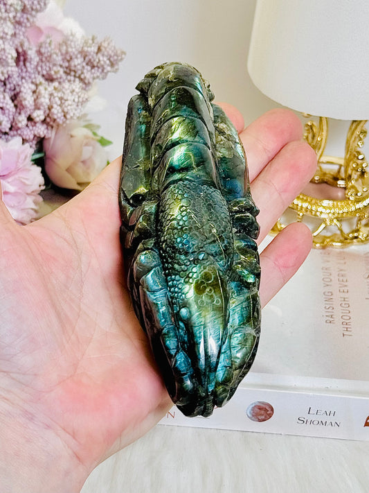 Large 14cm Perfectly Carved Labradorite Yabby Full of Flash