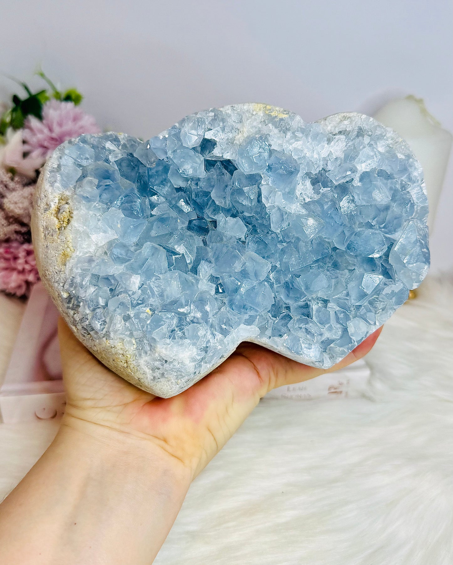 Huge Blue Celestite Cluster Double Heart 17cm 3KG