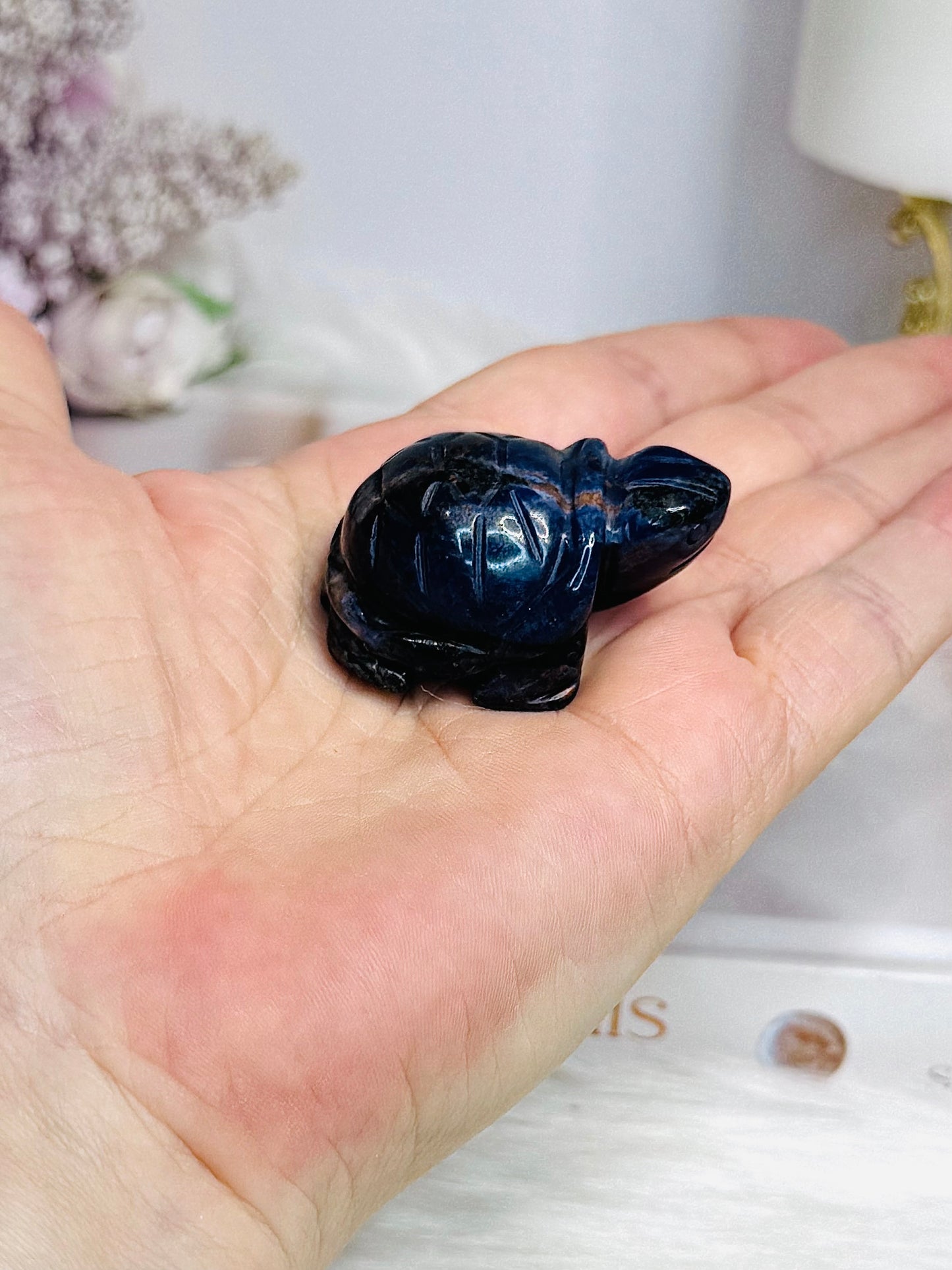 Sodalite Turtle 4cm