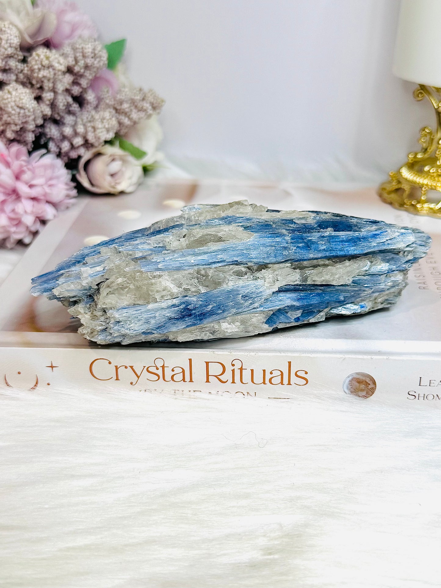 Large Blue Kyanite Freeform 459g 14cm