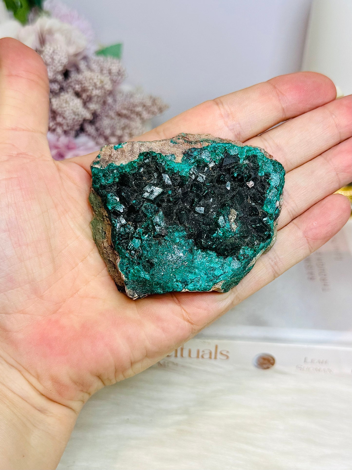 Rare Collectors Piece ~ Green Dioptase Specimen 7cm 106g