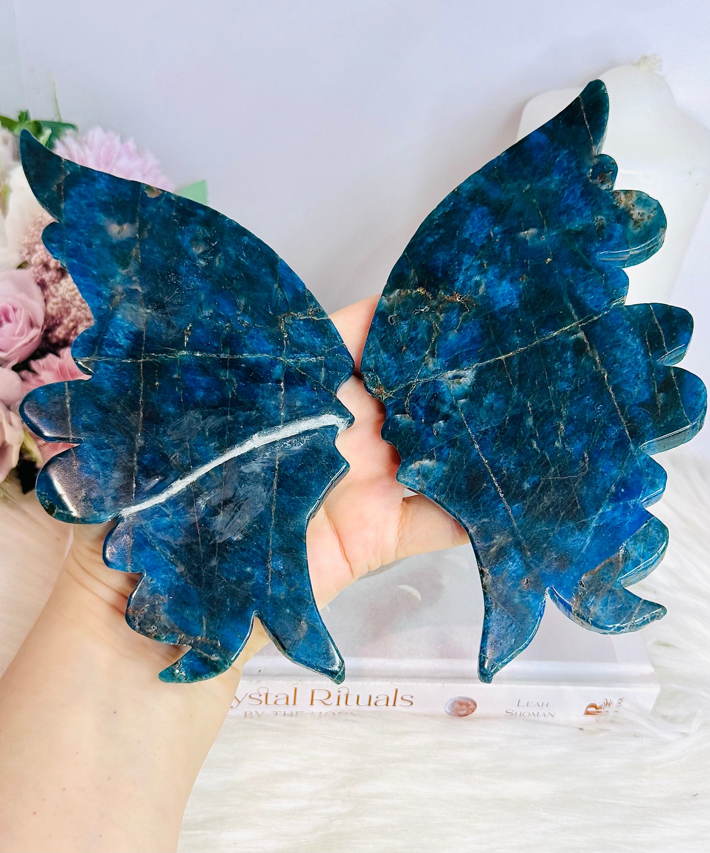 Blue Apatite Butterfly Wings on Stand 25cm ~ Discounted as right side wing has been repaired