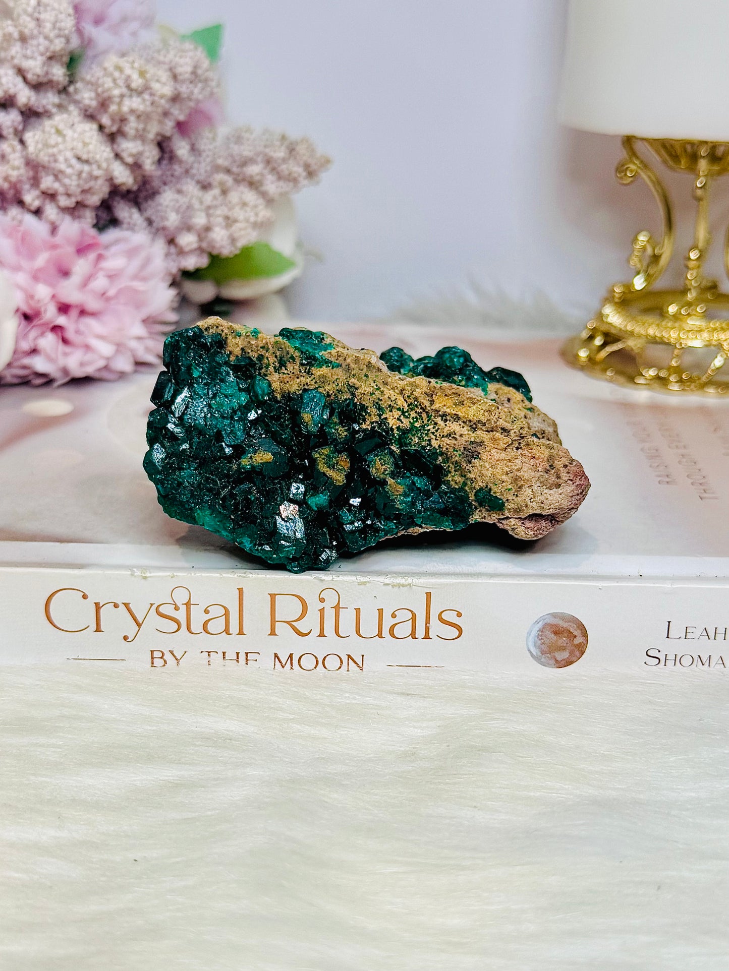 Rare Collectors Piece ~ Green Dioptase Specimen 9cm 170g