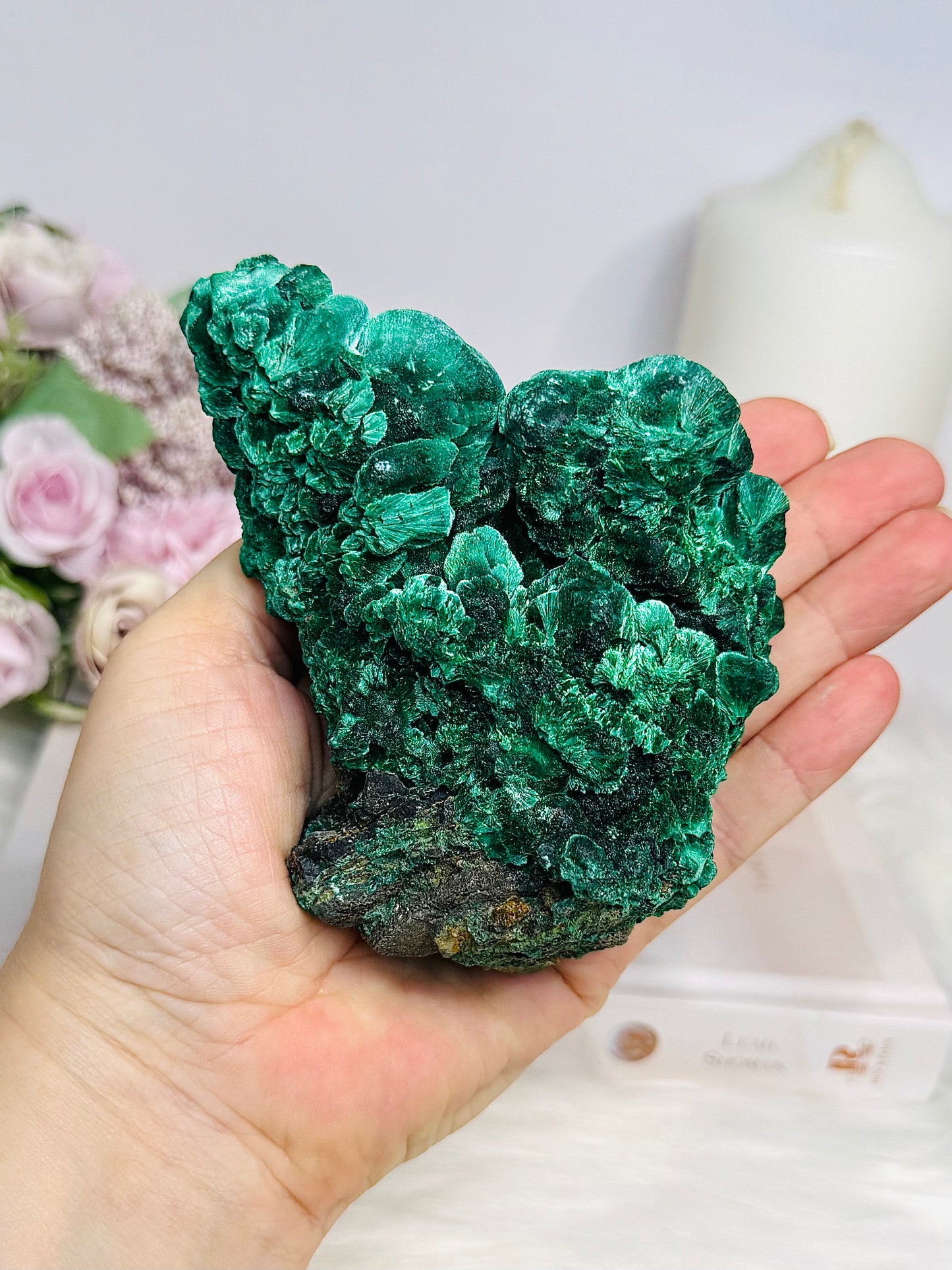 High Grade Botryoidal Velvet Malachite Specimen 10cm 467g