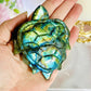 The Most Stunning Absolutely Full Of Gorgeous Flash High Grade Labradorite Carved Turtle 10cm