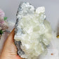Huge Calcite Freeform on Timber Stand 1.9KG