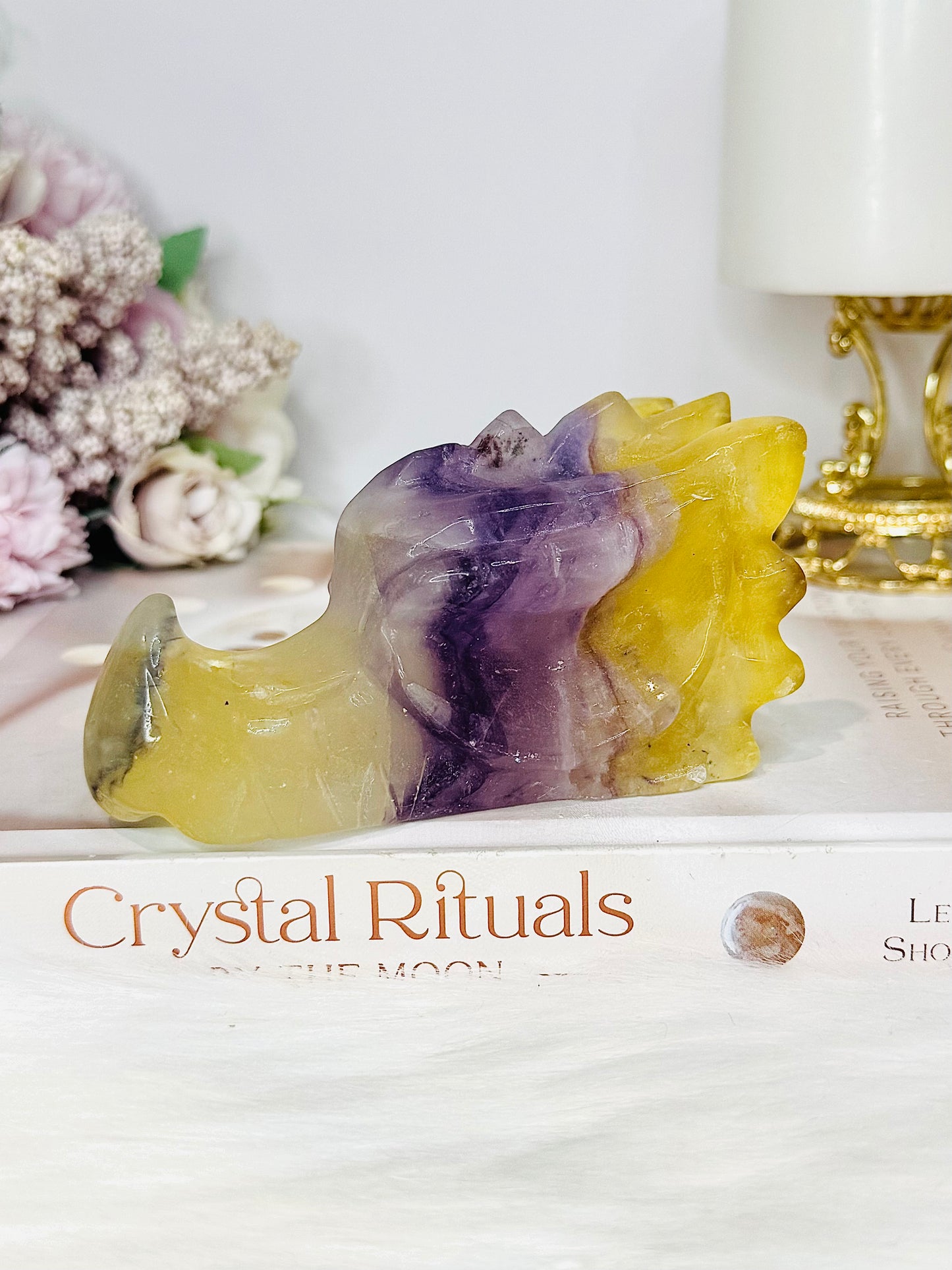 Fluorite Carved Dragon 10.5cm
