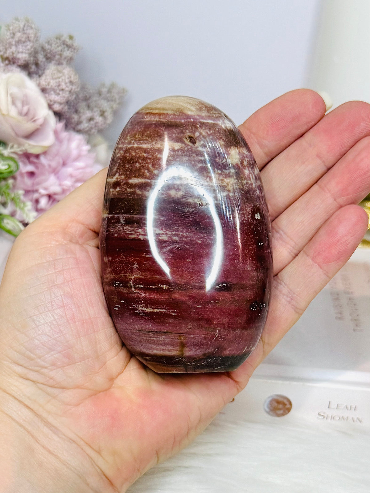 Petrified Wood Freeform 9cm 304g