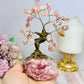 Natural Rose Quartz Carved Tree 14cm