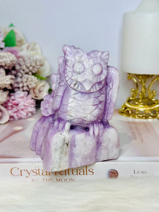 Large Kunzite Carved Owl 698g 11cm