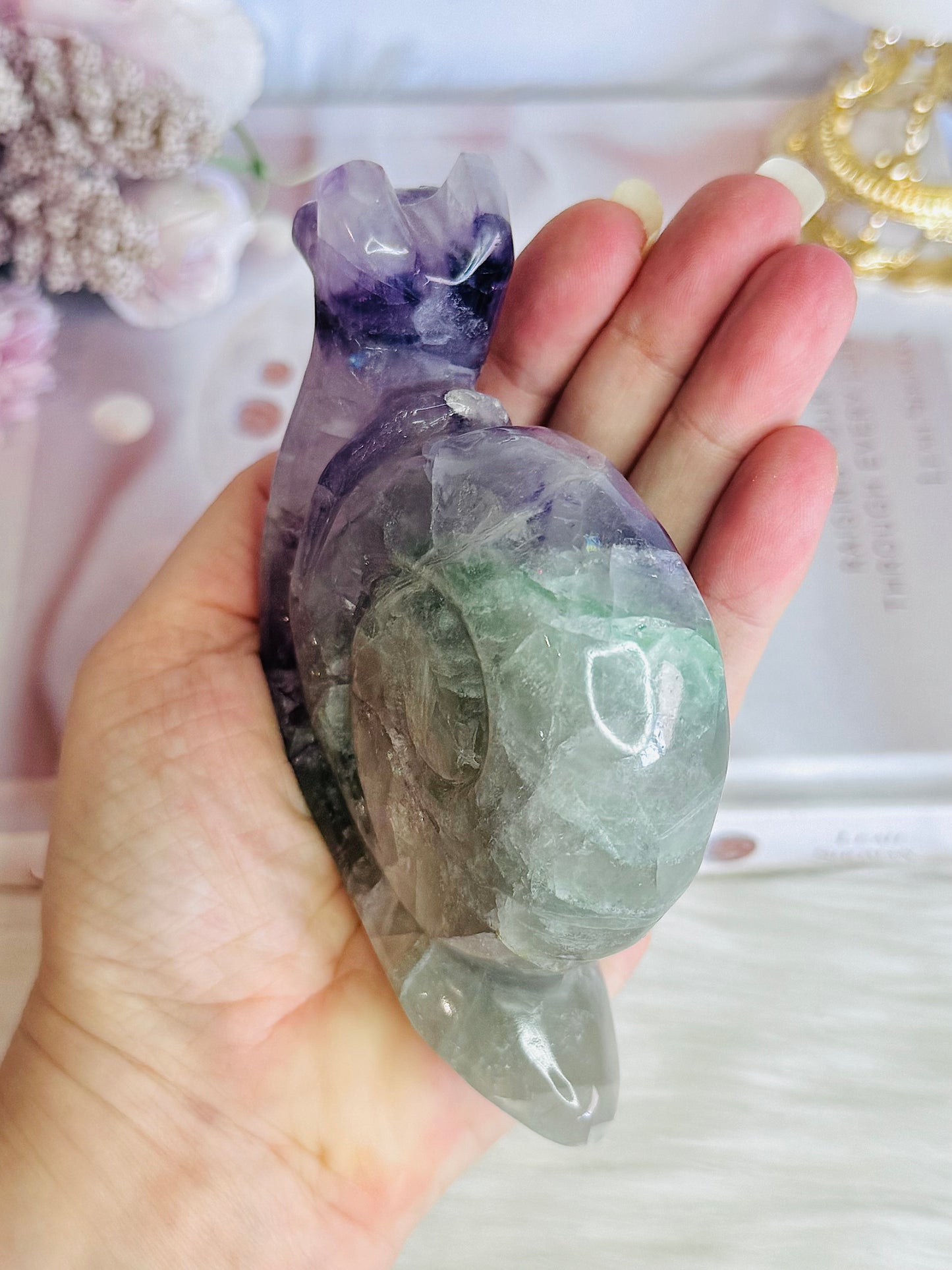 Fluorite Carved Large Snail 11cm 449grams
