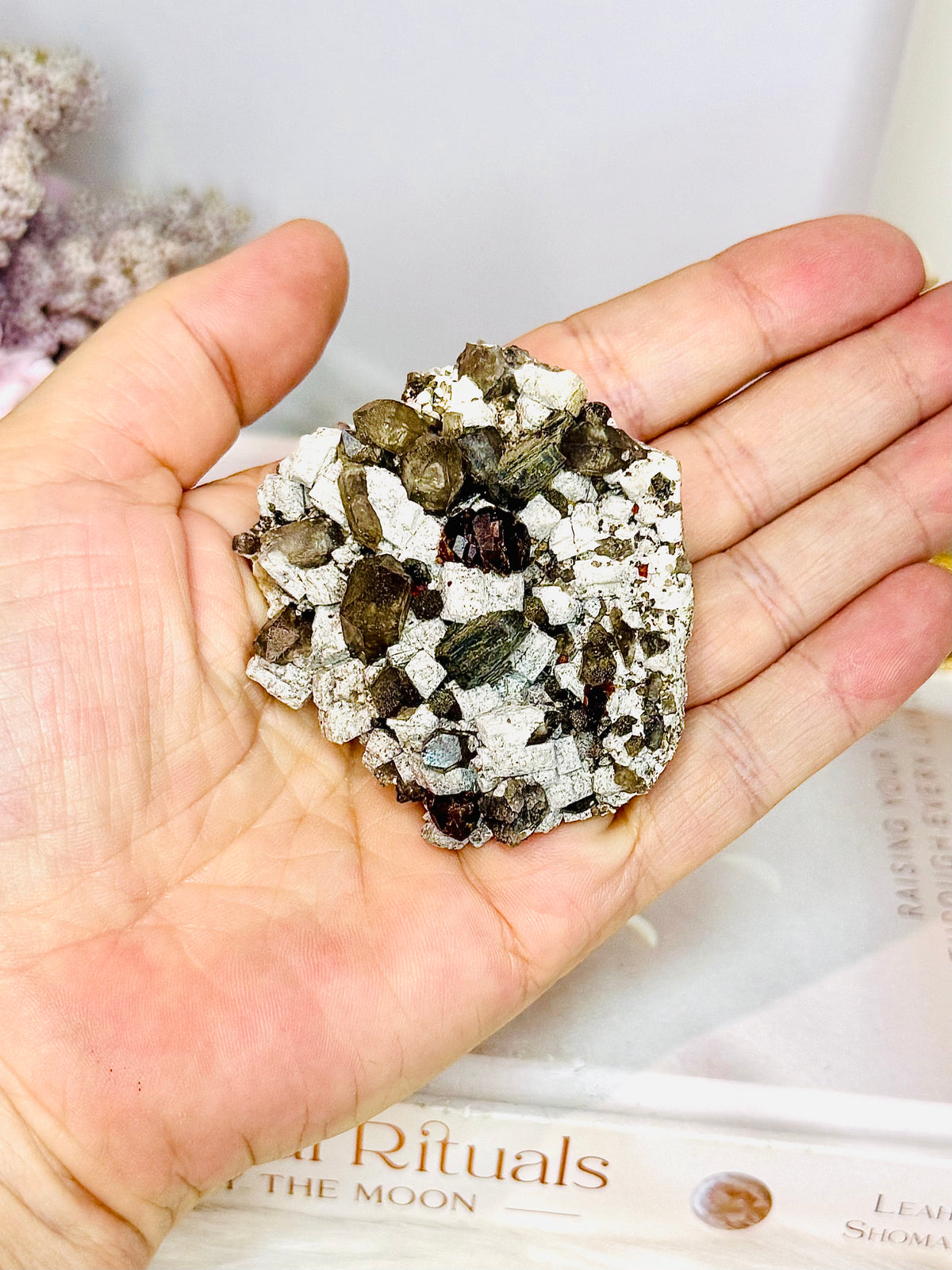 Smokey Quartz & Garnet on Matrix Specimen 6cm On Stand