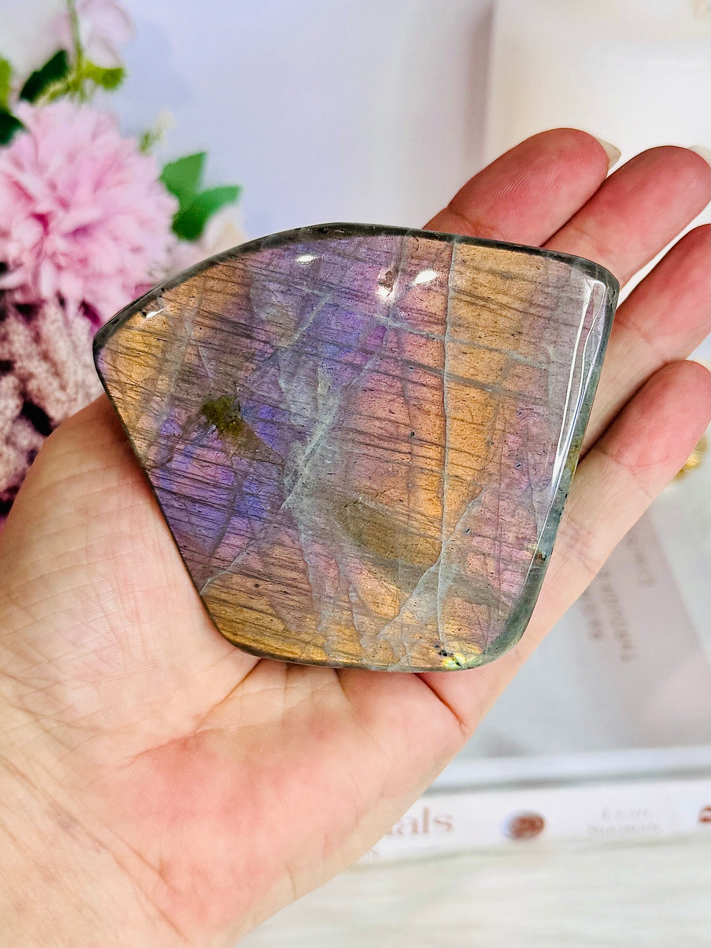 Wow! Incredible Pink, Purple & Orange Flash Natural Labradorite Polished Freeform 324grams