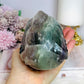 Large Fluorite Carved Skull with Bear Head 1.68KG