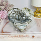 Large Moss Agate Druzy Heart On Stand 9.5cm