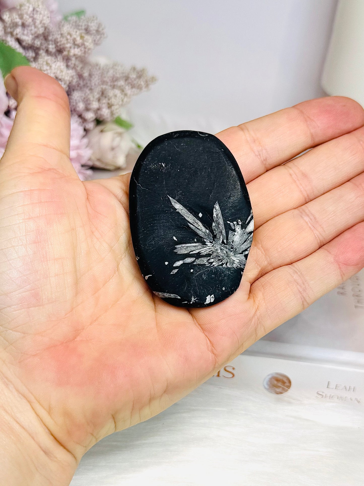Natural Chrysanthemum Palm Stone