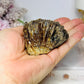 Natural Amber Calcite Specimen 147g