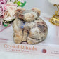 Large Moonstone Carved Koala Bear with Blue Flash 473grams
