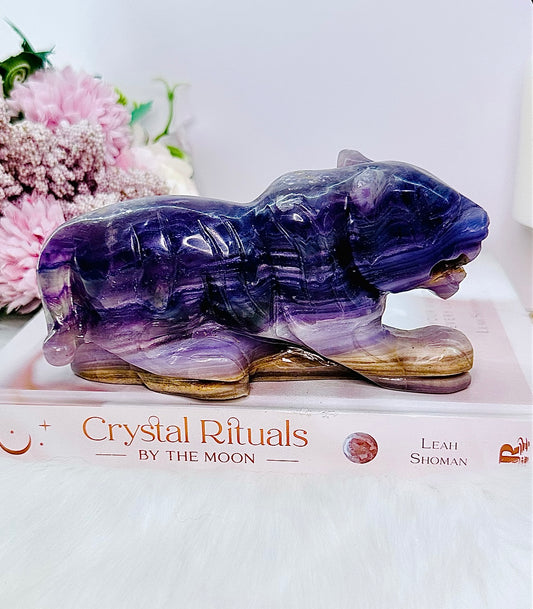 Wow!!! Powerful Healing Stone ~ Absolutely Superb Perfectly Carved Large Purple Fluorite Tiger 16.5cm 798grams