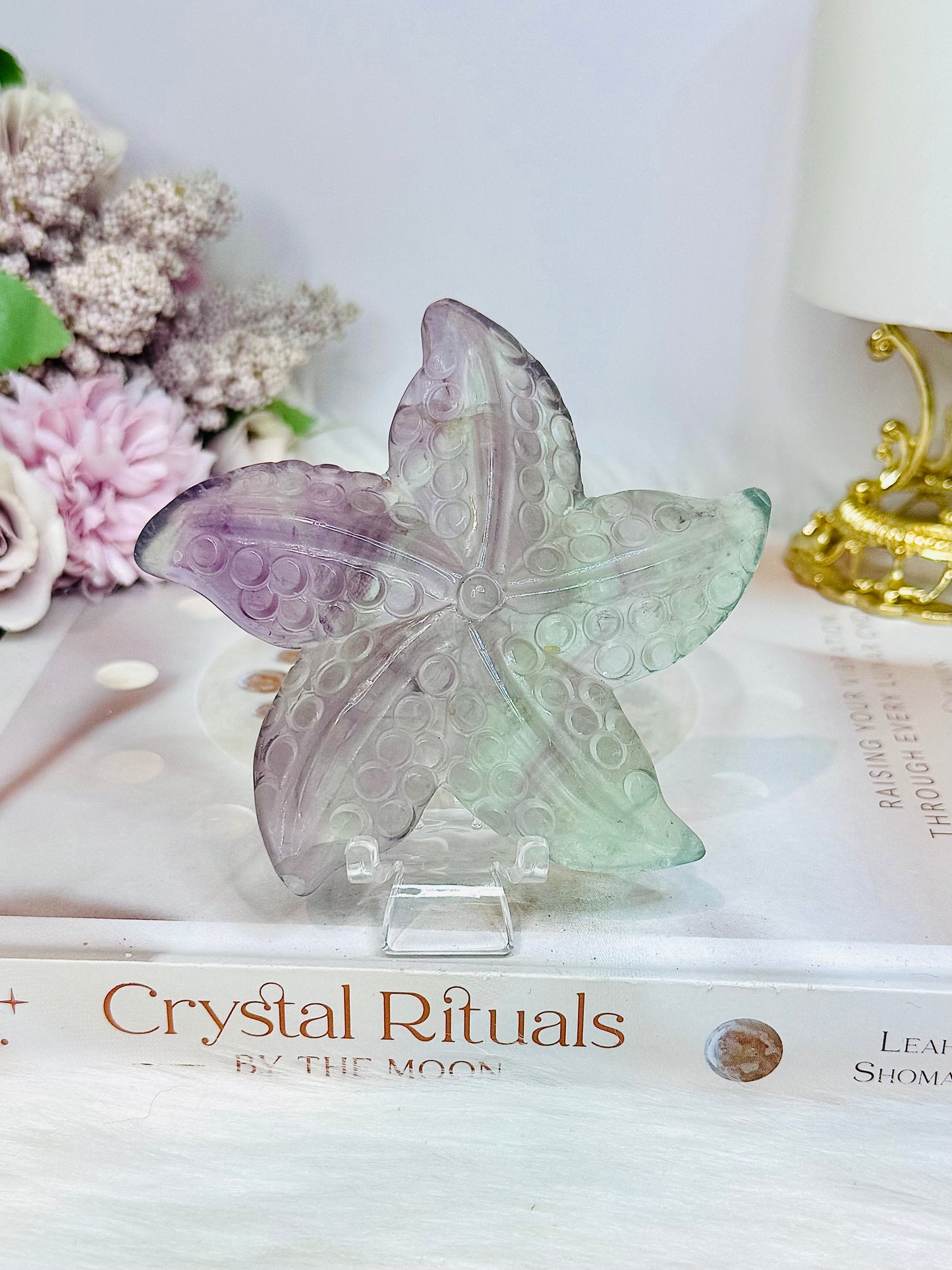 Fluorite Star Fish On Stand 9cm