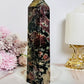 Gorgeous Large 17cm Garnet in Tourmaline Tower | Generator