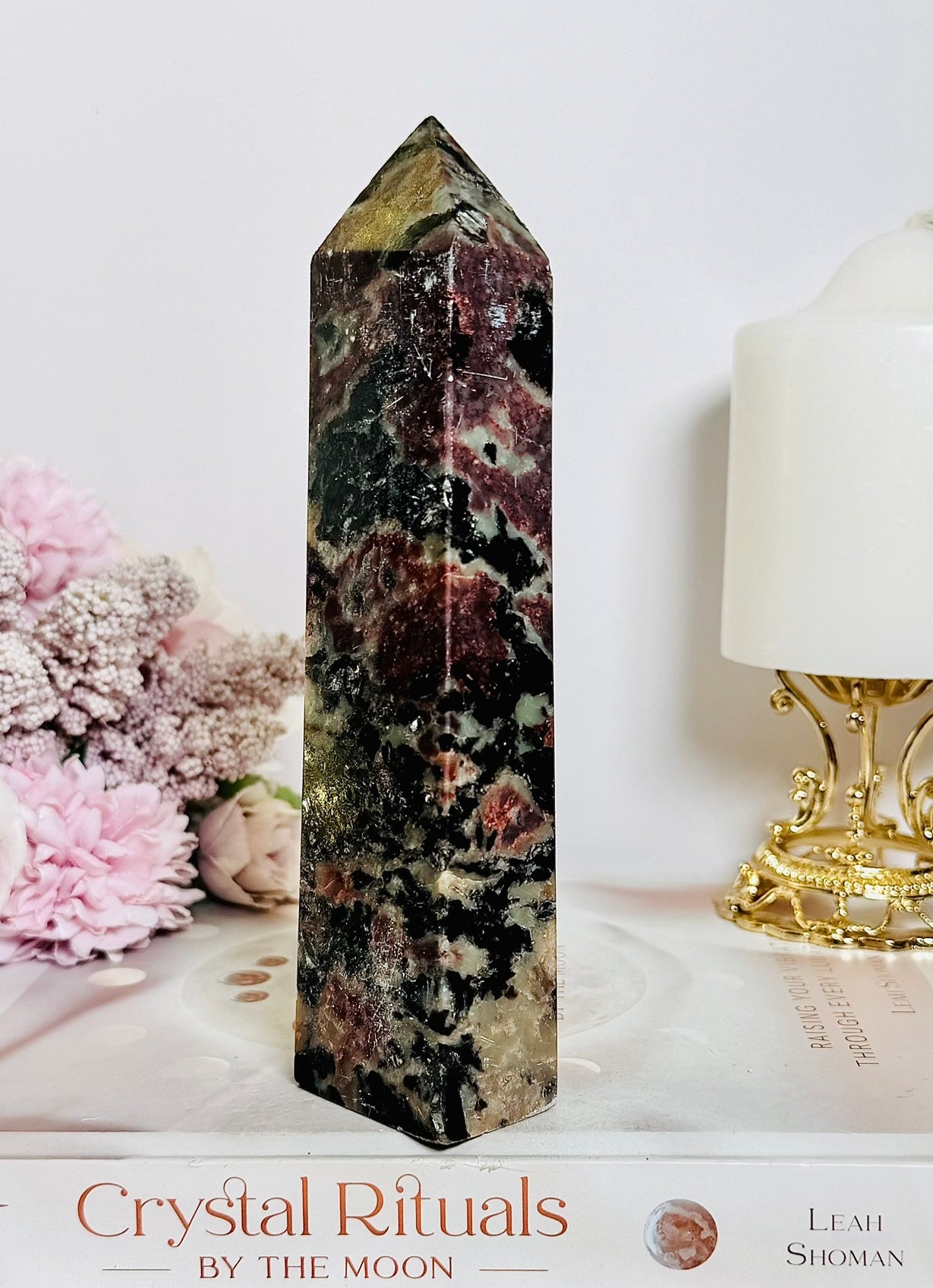 Gorgeous Large 17cm Garnet in Tourmaline Tower | Generator