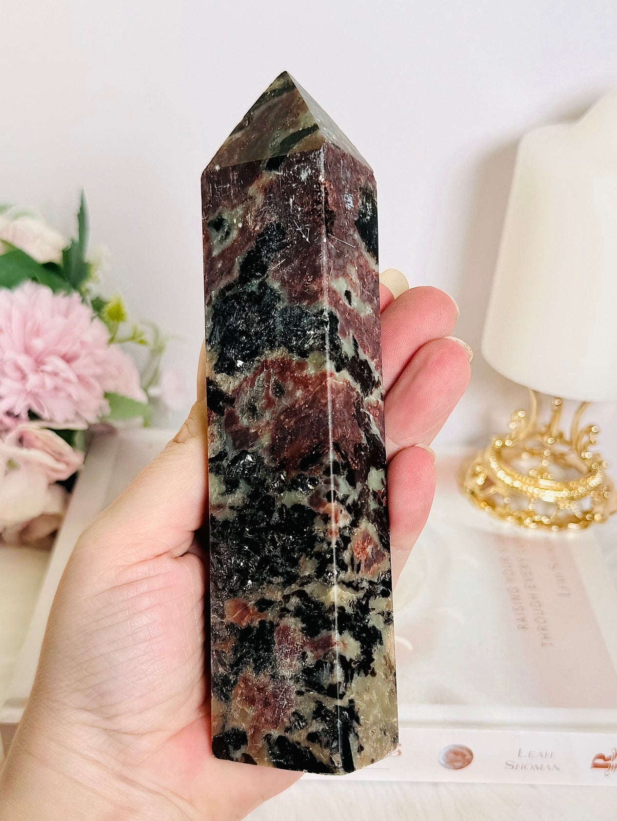 Gorgeous Large 17cm Garnet in Tourmaline Tower | Generator