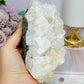 Large High Grade Natural Apophyllite Specimen 757g 14cm