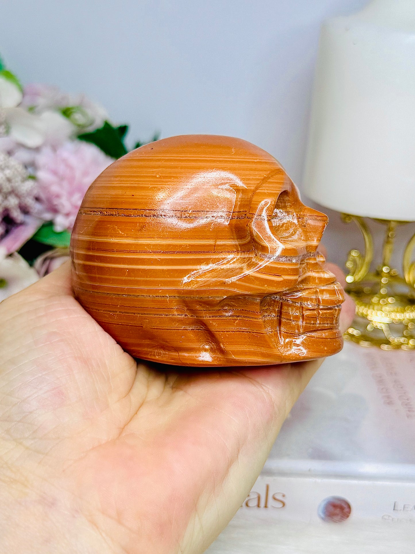 Large Jasper Carved Skull 404g