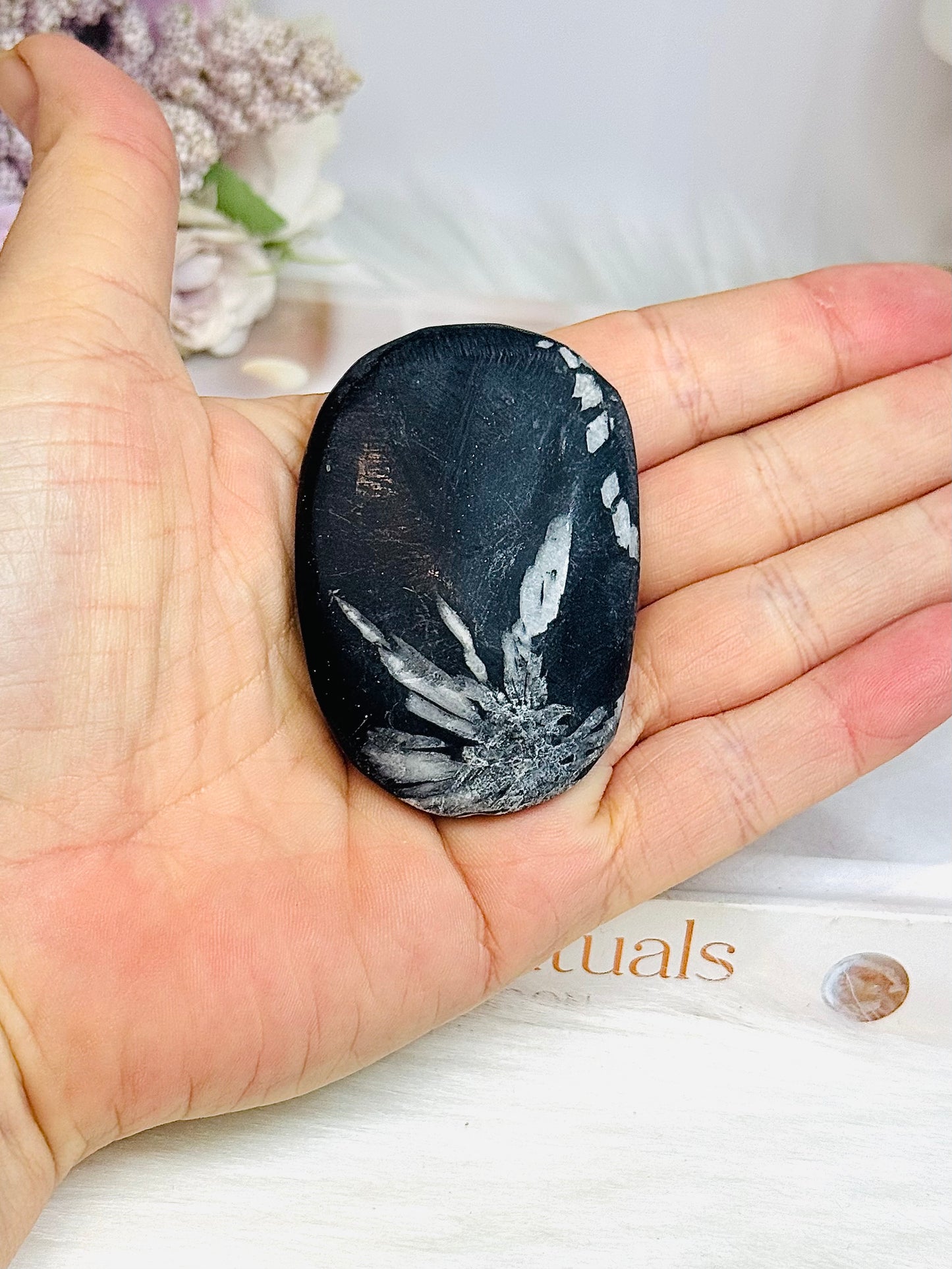 Natural Chrysanthemum Palm Stone (stand is display only)