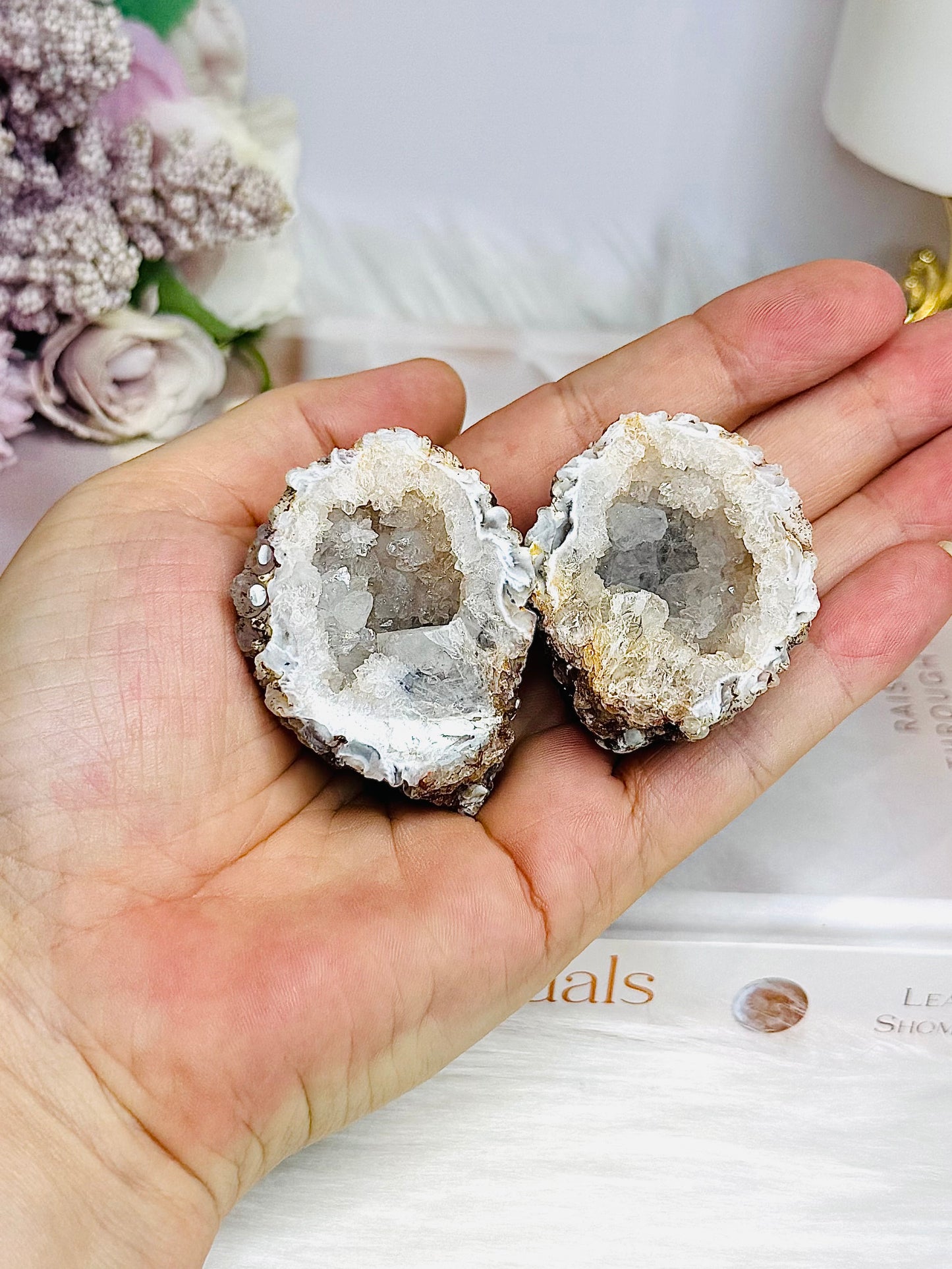 Natural Druzy Agate Geode Small