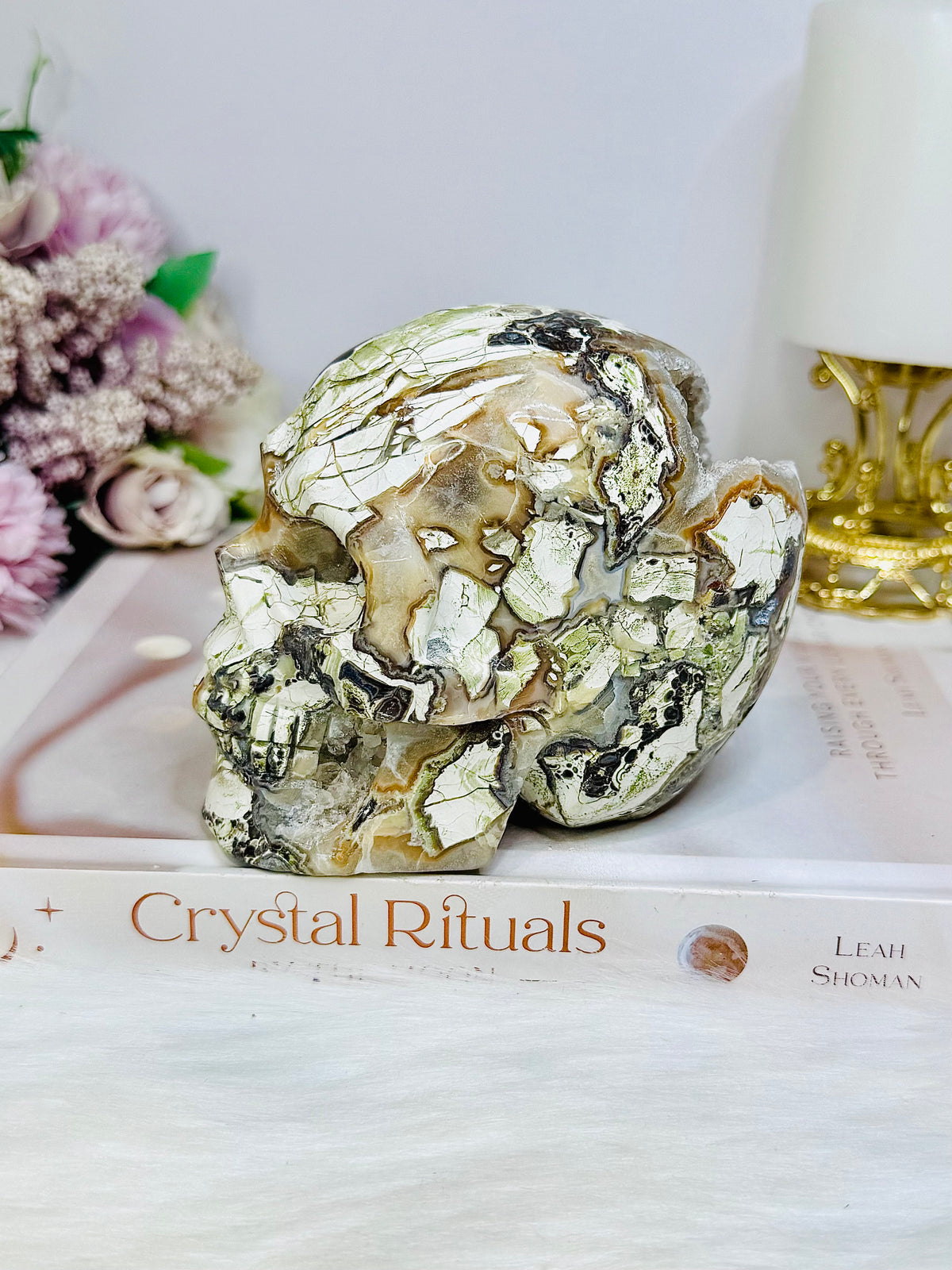 Large Money Agate Druzy Skull 751g