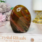 Petrified Wood Chunky Freeform 9cm